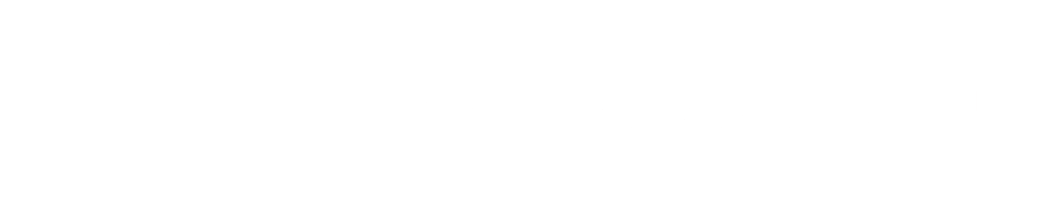 Pamela Martins PMU